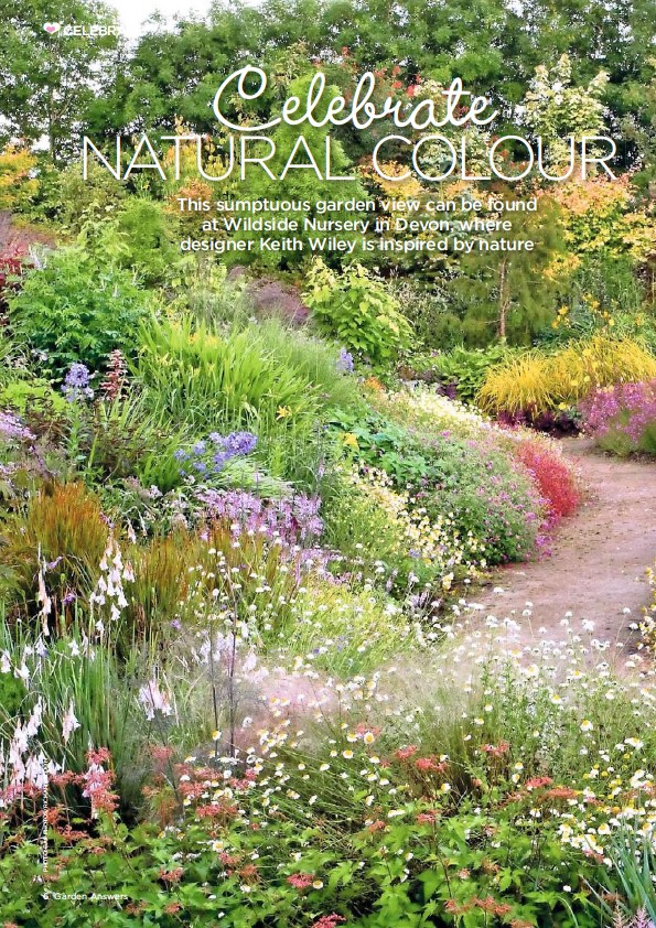 Pressreader Garden Answers Uk 2018 07 01 Celebrate Natural
