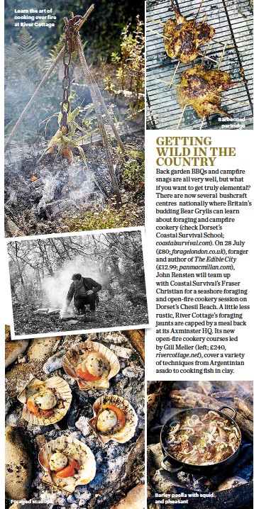 Pressreader Bbc Good Food 2018 06 21 Getting Wild In The Country