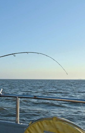 Dave Barham DB4 Lure 9' 10-40g Fishing Rod 